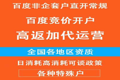 百度企业级服务推广的全面解决方案